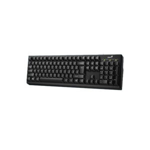 TECLADO GENIUS SMART KB-100X NEGRO USB / CLASICO / SLEEP KEY / WIN Y MAC  31310049401 (AGOTADO)